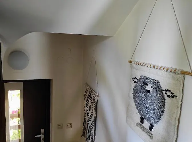 Lano 비아위 두나예크